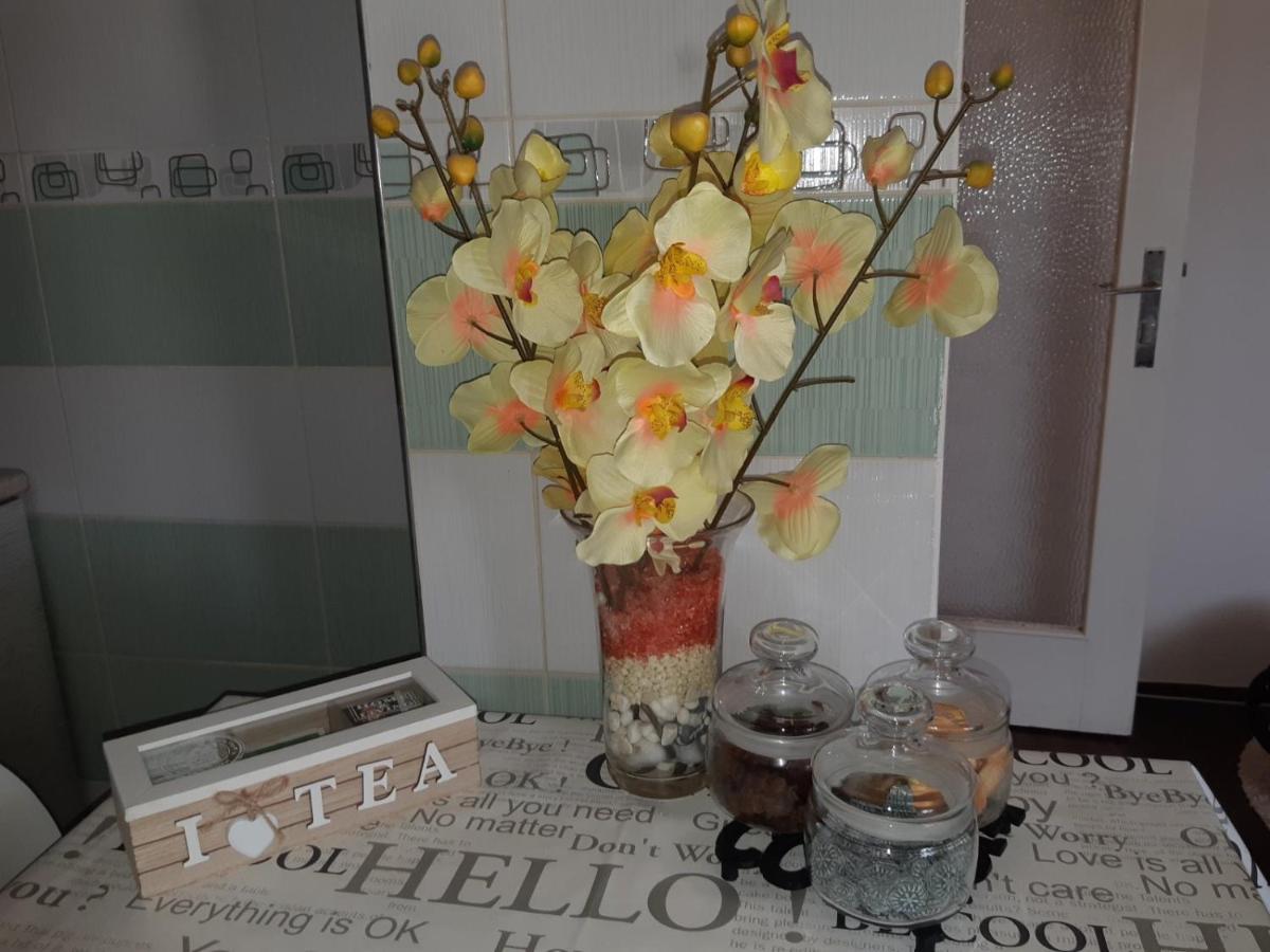 Sweet Home Danube Liman Apartment Novi Sad Bagian luar foto